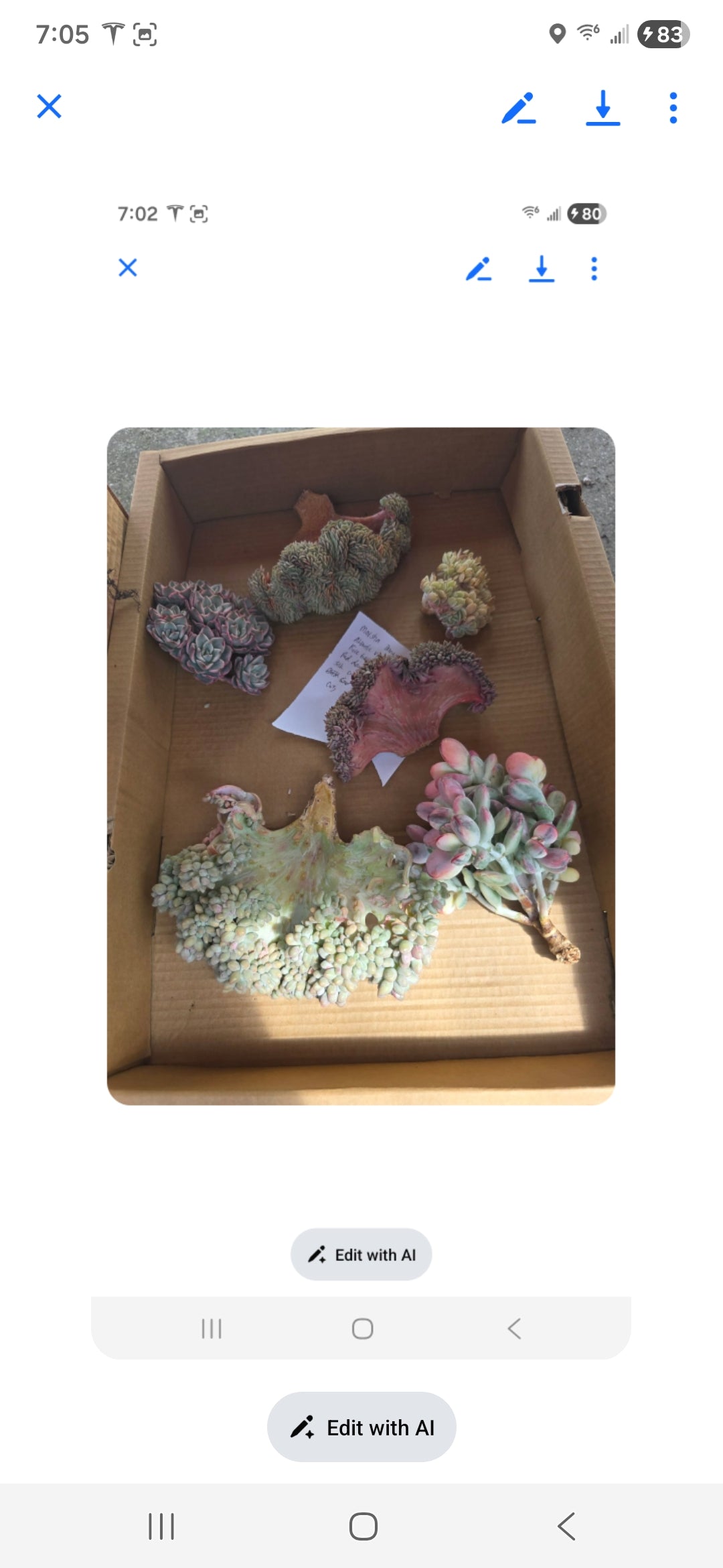 order for Marsha