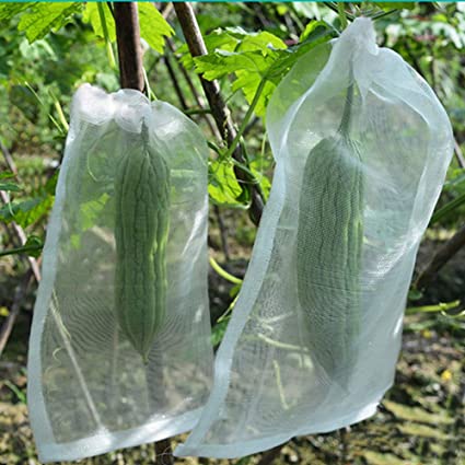 20 pcs size 6x9.8inch Anti Bird Pest Protective Bag