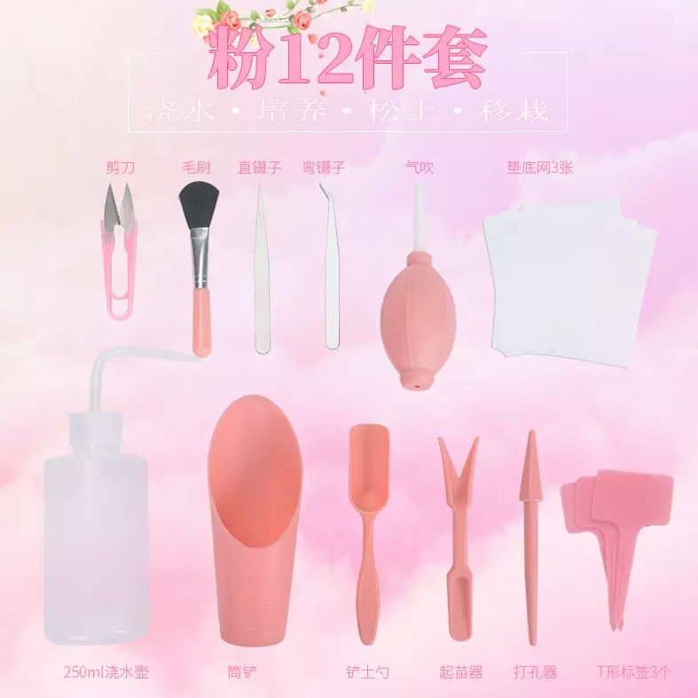 Succulent tool set