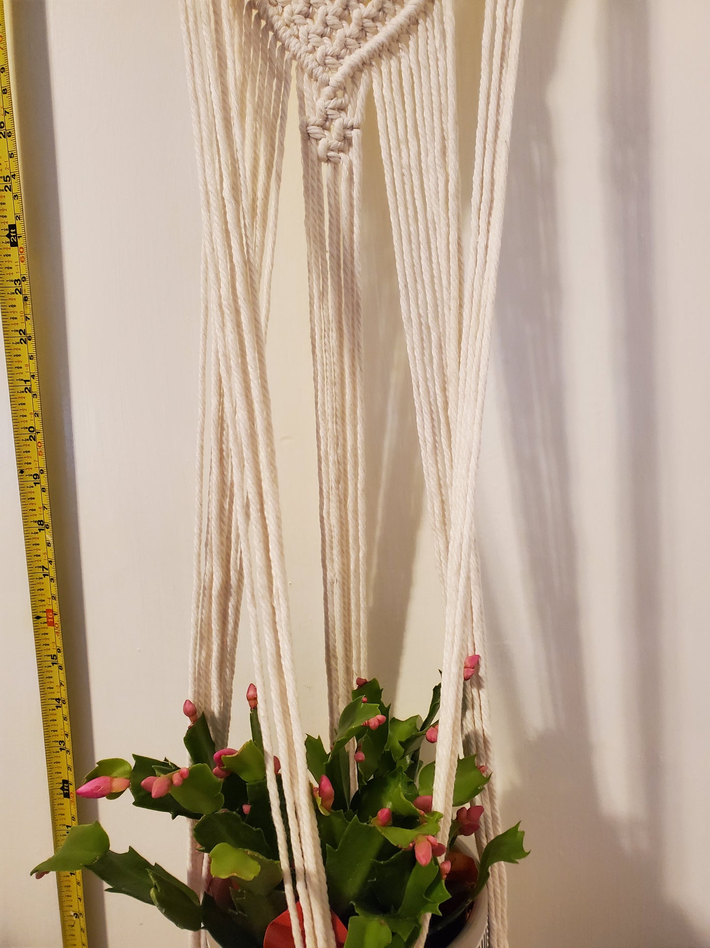 Macrame plant hanger pot and plants are not included