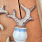 ceramic tree branches decorative ornaments tree trunks landscape succulent flower