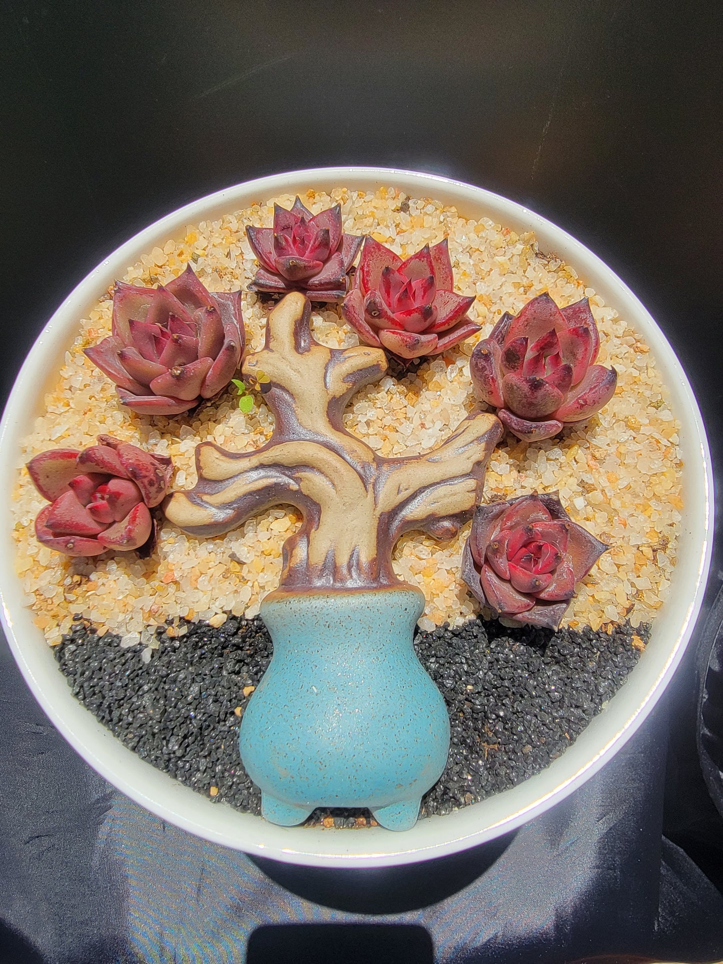 ceramic tree branches decorative ornaments tree trunks landscape succulent flower