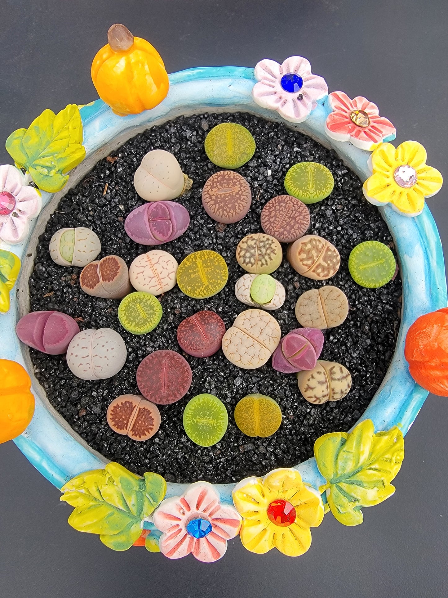 Imported Lithop