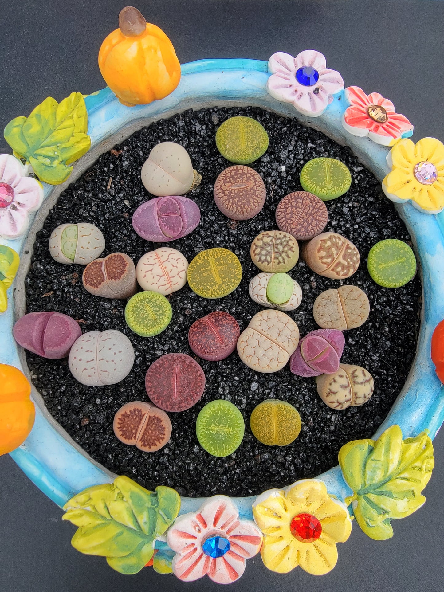 Imported Lithop