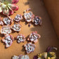 Imported Laui 5pcs