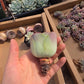 Imported pink greenovia 1pc