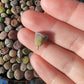 Imported lithops