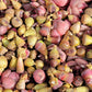 10 pcs purple baby lithops