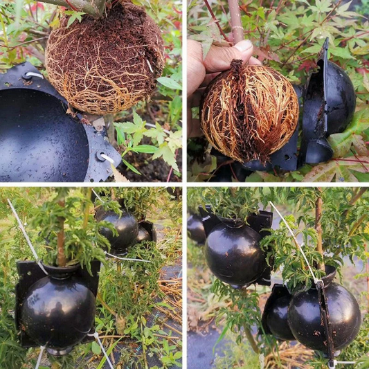 Air layering Plant High Pressure propagation ball Grafting Rooting Device Root growing ball