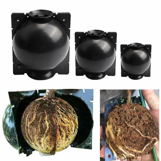 Air layering Plant High Pressure propagation ball Grafting Rooting Device Root growing ball